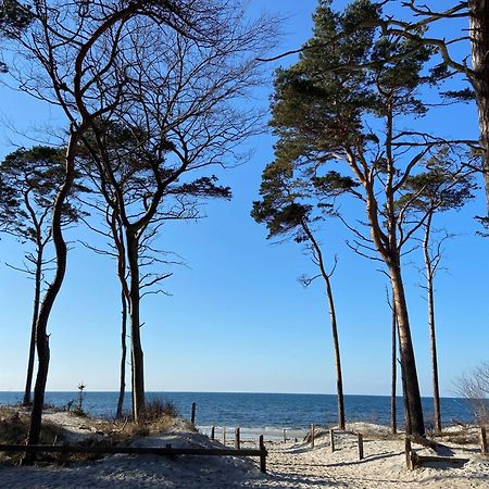 Ferienwohnung Strandkoje Dierhagen Buitenkant foto
