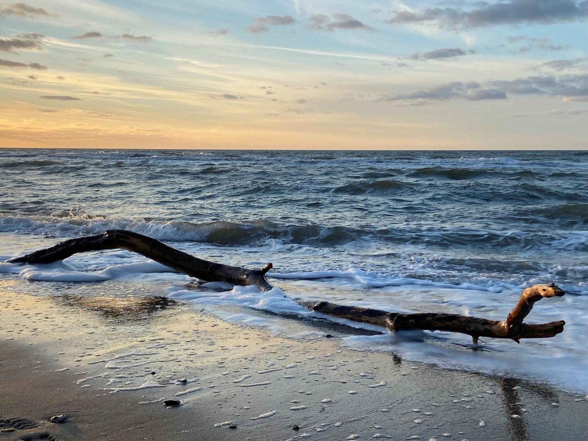 Ferienwohnung Strandkoje Dierhagen Buitenkant foto