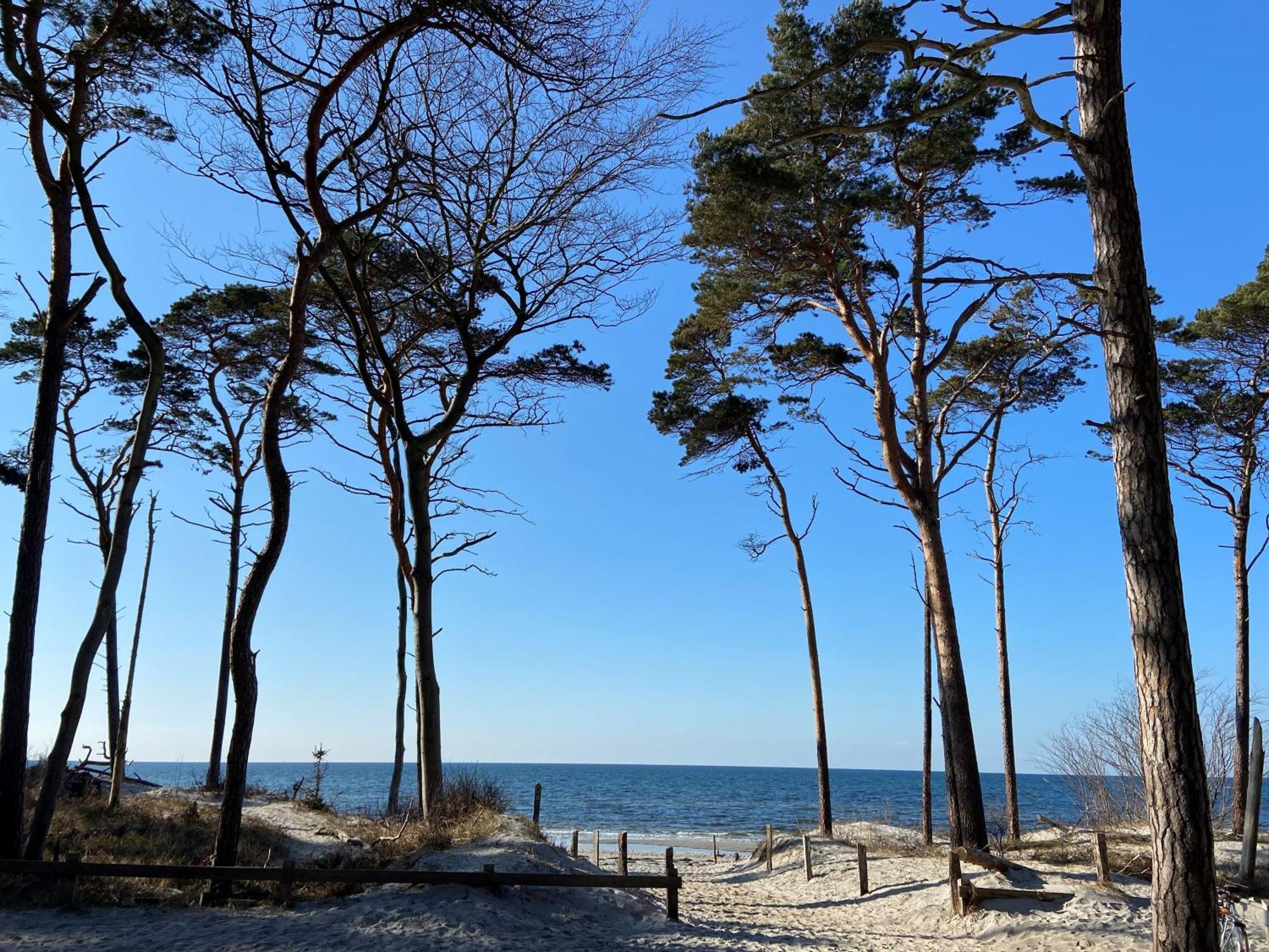 Ferienwohnung Strandkoje Dierhagen Buitenkant foto