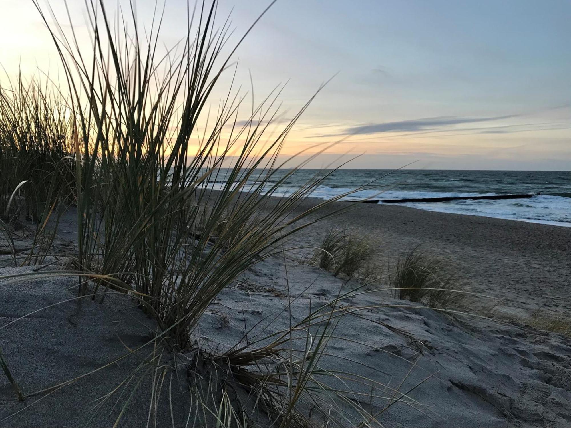 Ferienwohnung Strandkoje Dierhagen Buitenkant foto